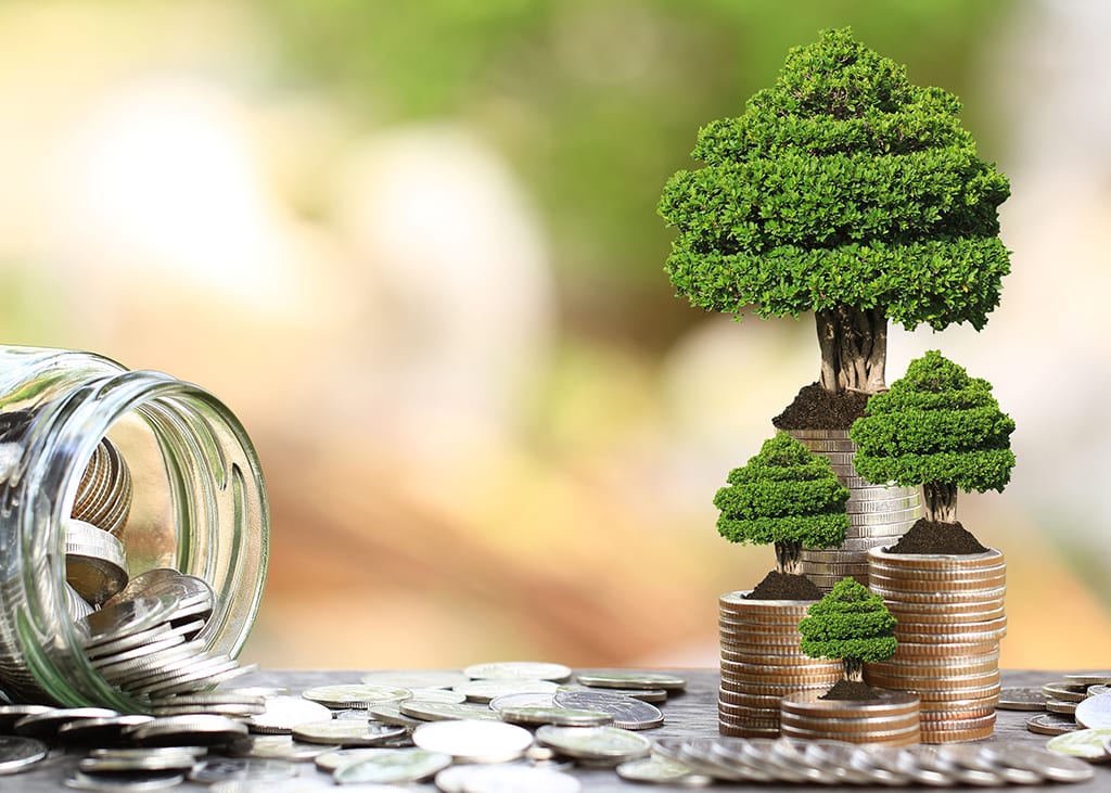 private equity investing