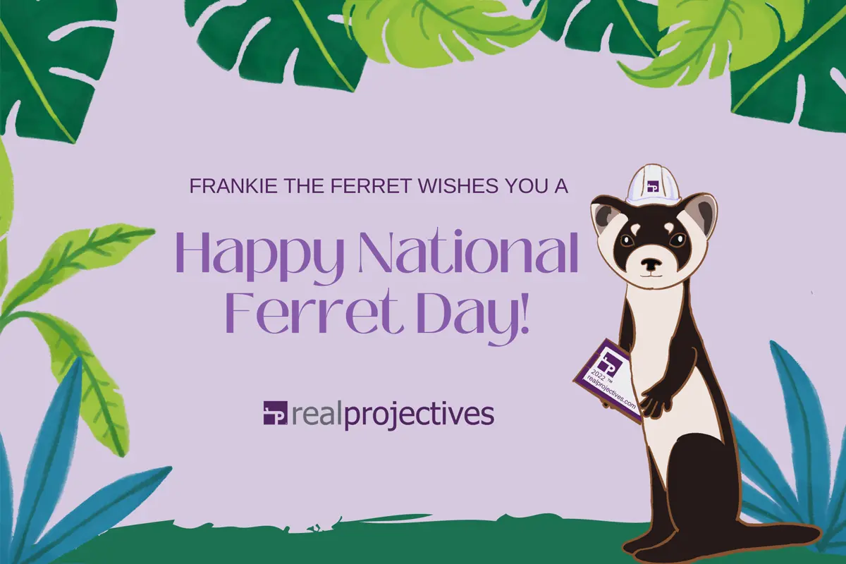 Celebrating Our Third National Ferret Day 2023