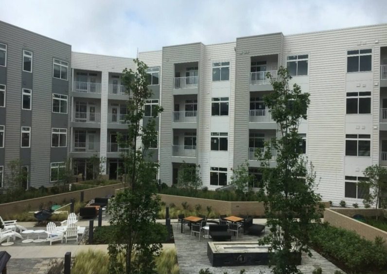 The Daley featured Picture